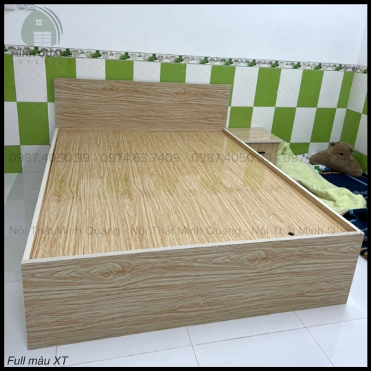 Giường Ngủ Nhựa Đài Loan Cao Cấp TPHCM GN008