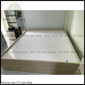 Giường Ngủ Nhựa Đài Loan Cao Cấp TPHCM GN006